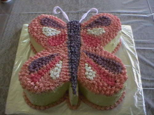 Butterfly Birthday Cake